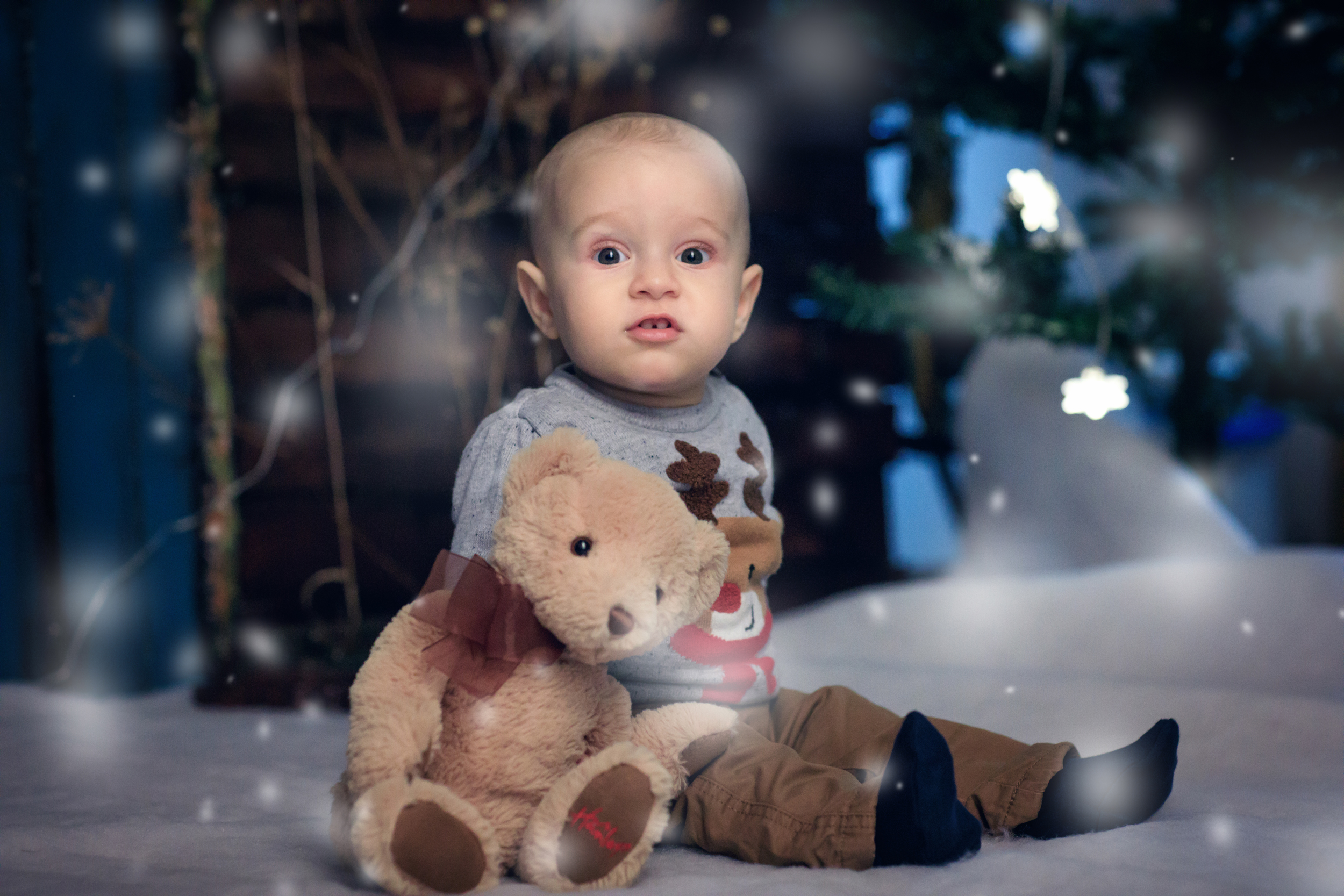 Sedinte foto craciun familie 0036